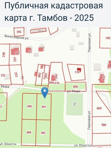 станция Рада, ул. Мира, Тамбовский муниципальный округ, железнодорожная фото