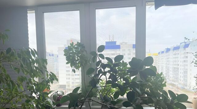 дом 12/1 фото