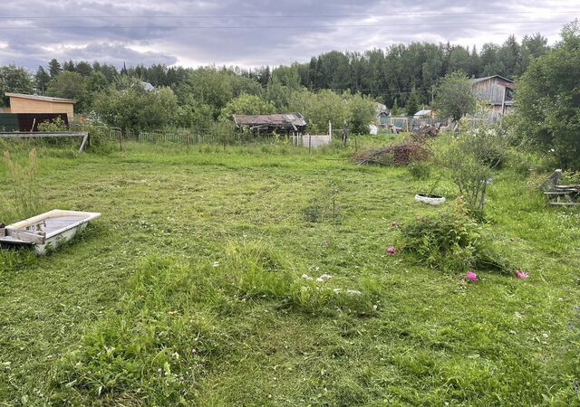р-н Ленинский муниципальное образование Киров, СДТ Рублёвское фото