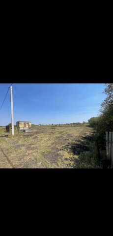 Боргустанская, садовое товарищество Дружба фото