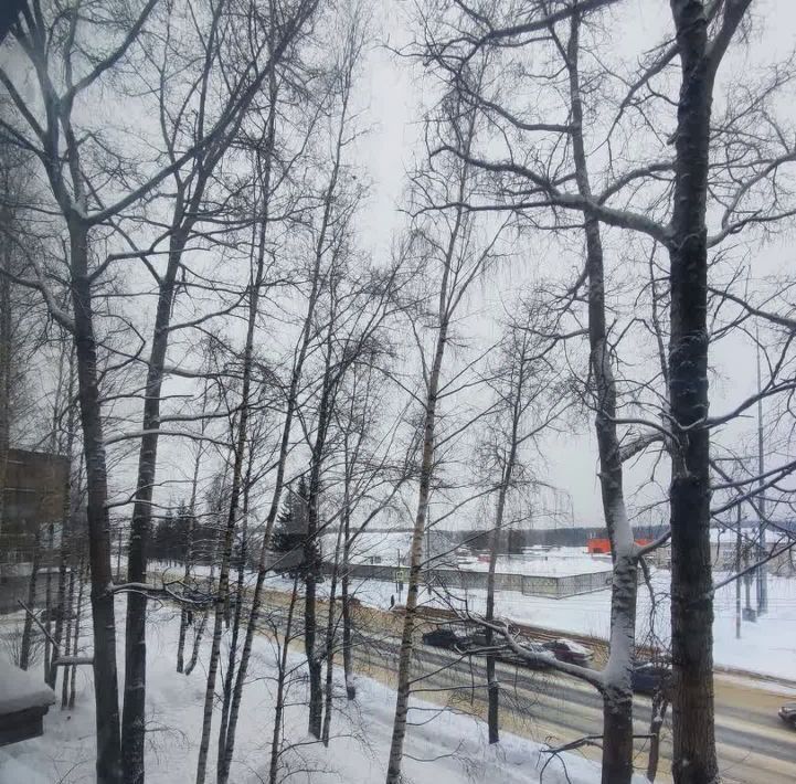 квартира г Сыктывкар ул Морозова 43 фото 8