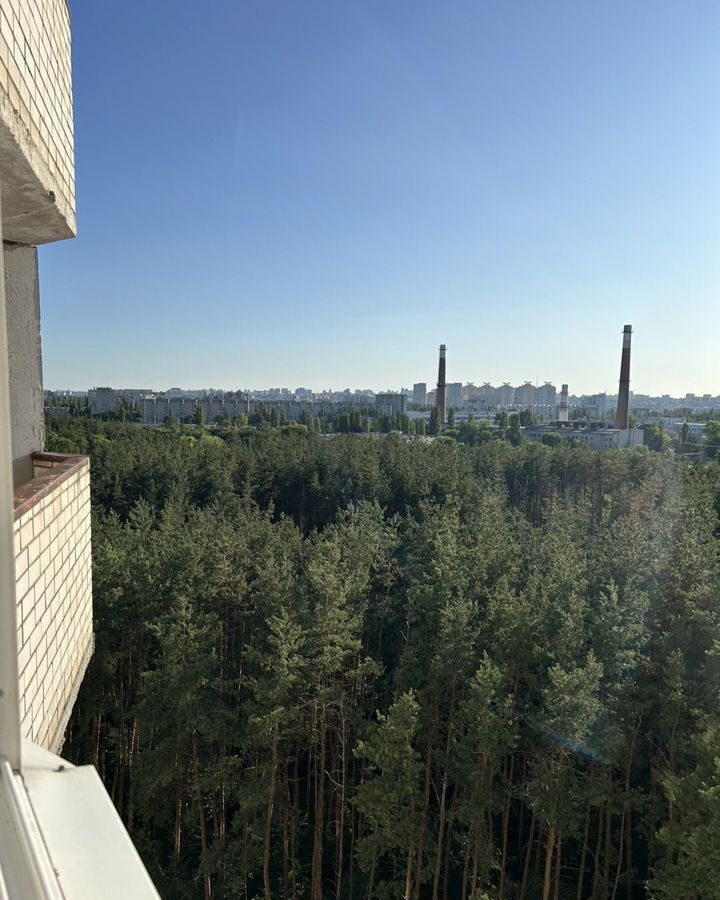 квартира г Воронеж р-н Железнодорожный ул Минская 69в фото 6