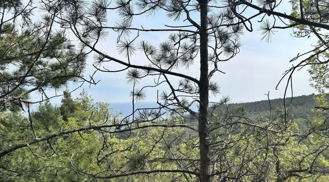 земля г Алушта п Семидворье р-н мкр Надежда 5 фото 4