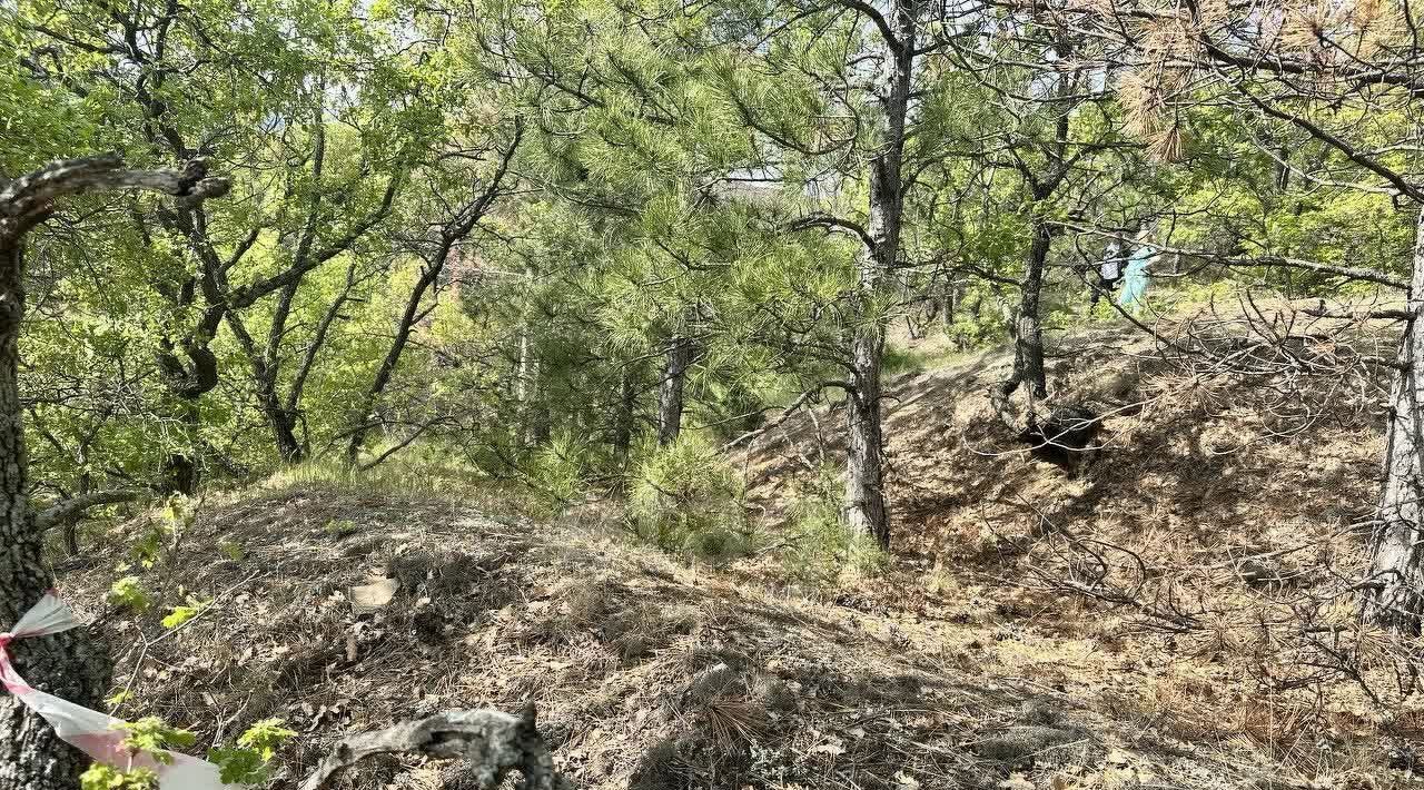 земля г Алушта п Семидворье р-н мкр Надежда 5 фото 8
