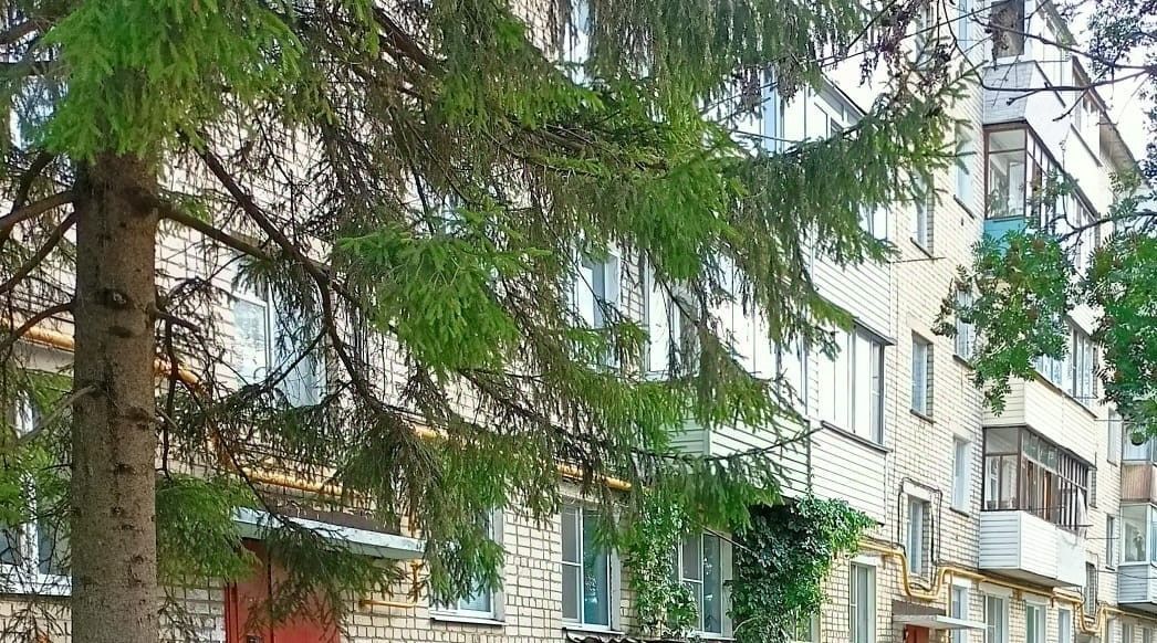 квартира г Скопин ул. Карла Маркса, 166А фото 26