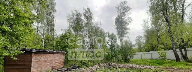 Зябликово фото