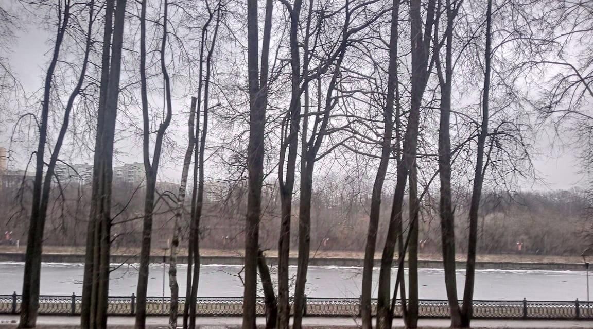 квартира г Химки ул Кудрявцева 14 Химки фото 19