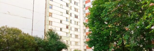 метро Проспект Ветеранов пр-кт Дачный 36к/8 фото