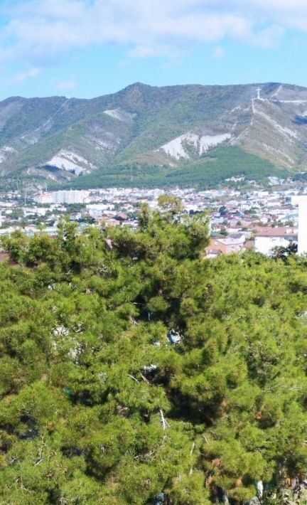 квартира г Геленджик ул Дзержинского 2 Центр фото 1