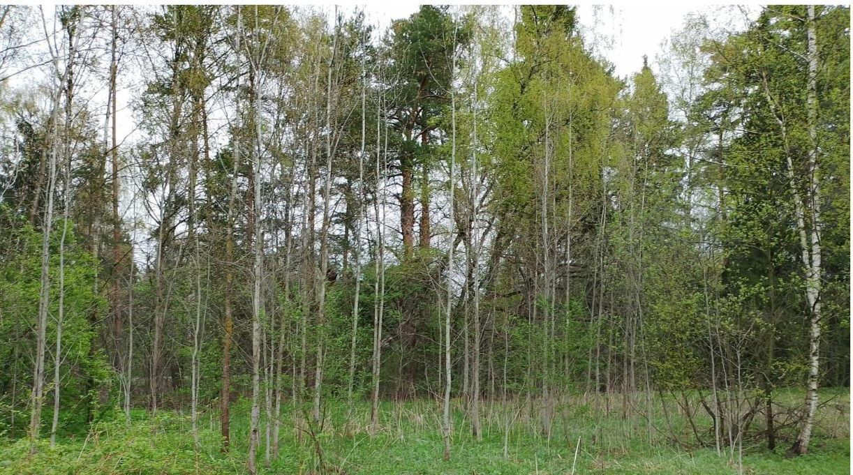 земля г Истра ул Ленина Река Истра, Нахабино фото 1