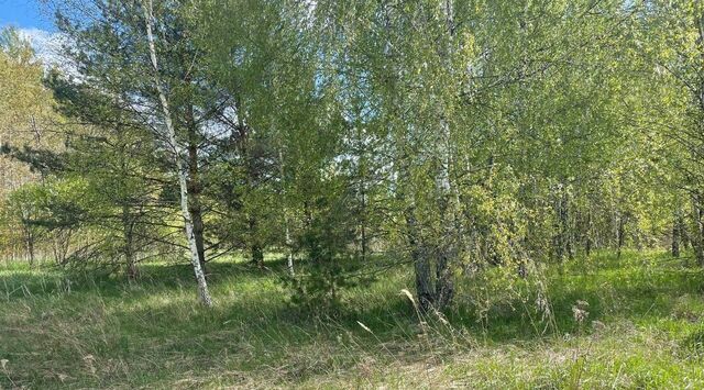 д Новочеркасское проезд Полевой фото