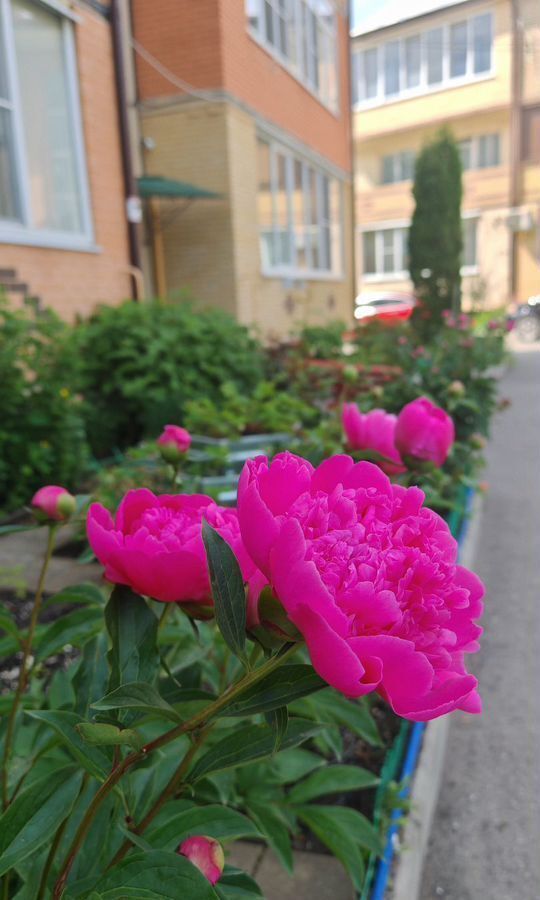квартира г Ессентуки ул Фридриха Энгельса 63/1 фото 1