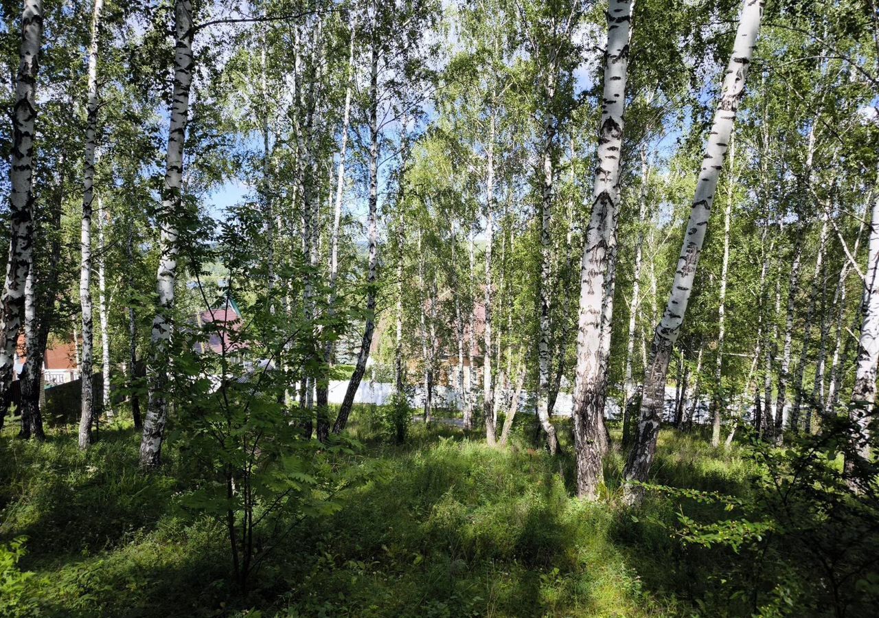 земля г Миасс ул Электрозаводская 52 р-н Западный, Миасский г. о. фото 11