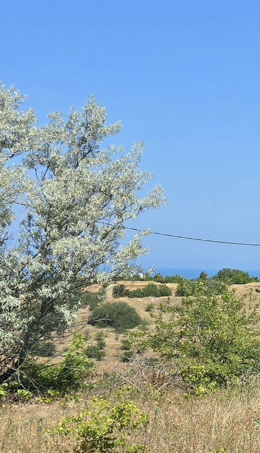 земля г Севастополь ТСН Верхняя Учкуевка, Крым фото 1