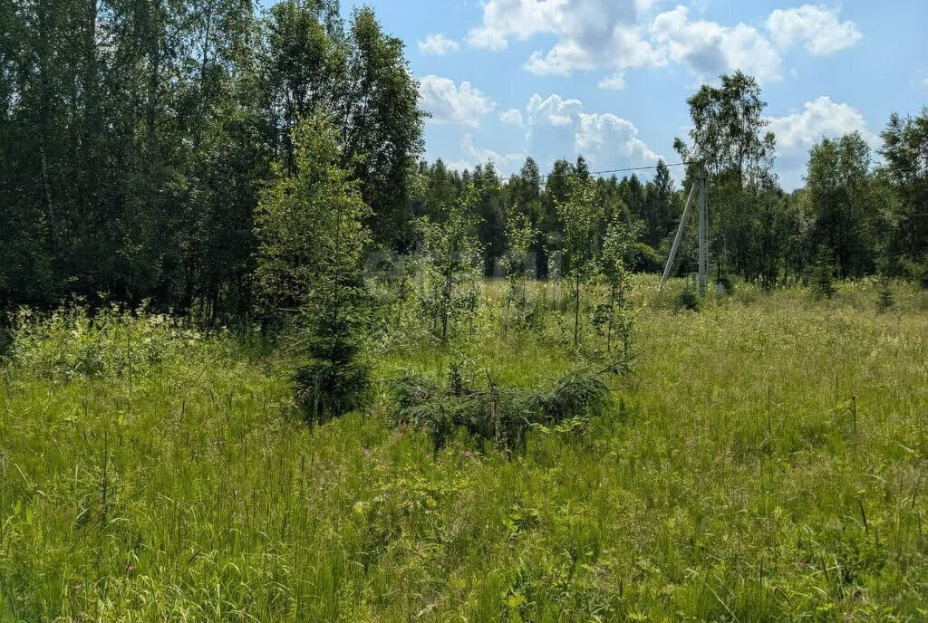 земля г Солнечногорск садовое товарищество Кортис фото 2