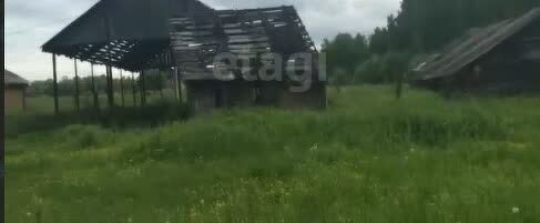 сельское поселение Лопатино фото