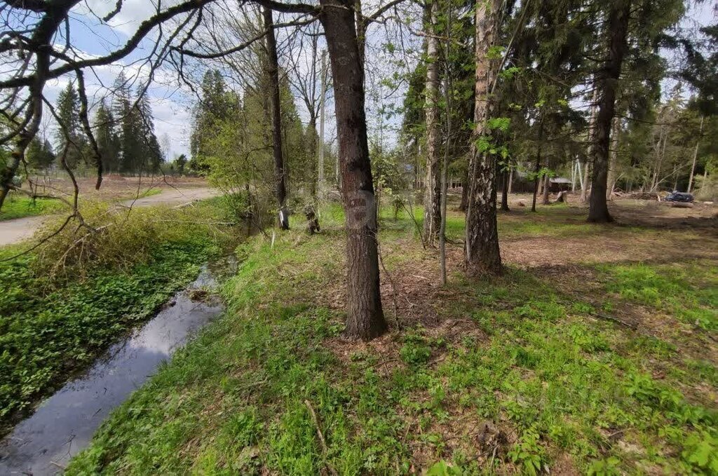 земля г Солнечногорск Зеленоград—Крюково, КП Экопарк Никольское, 95 фото 1
