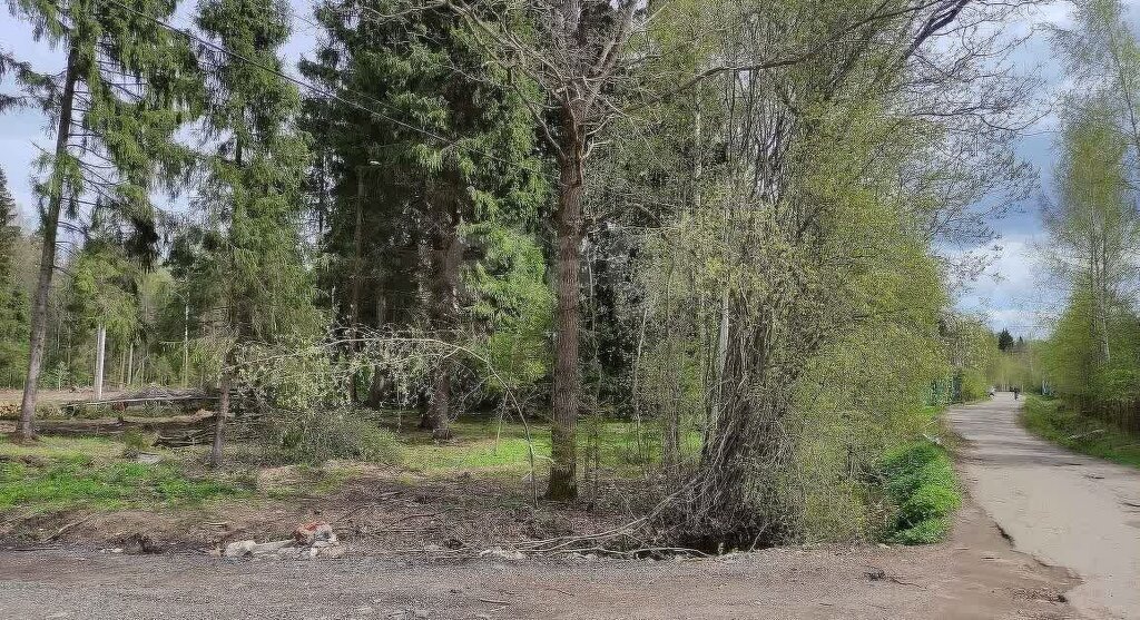 земля г Солнечногорск Зеленоград—Крюково, КП Экопарк Никольское, 86 фото 4
