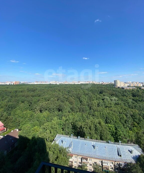 квартира г Москва метро Перово ш Энтузиастов 86ак/3 фото 11