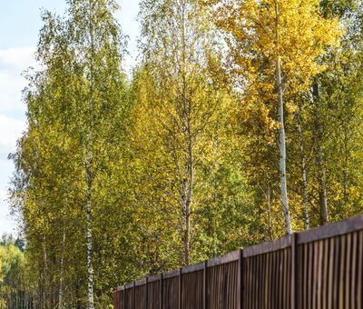 земля г Ступино 53 км, КП Уайт парк, Михнево, Новокаширское шоссе фото 10