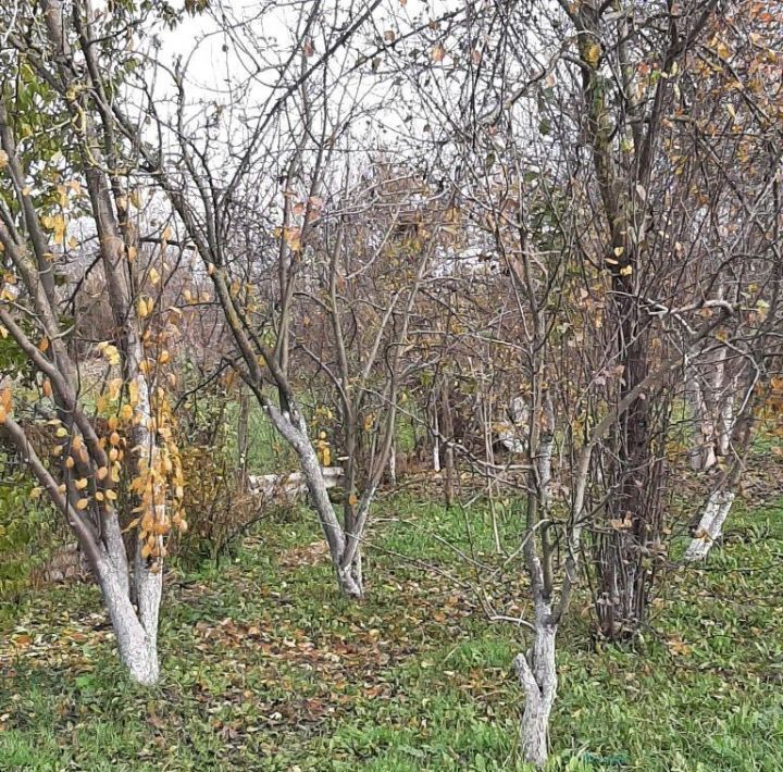 земля г Белгород Восточный ул Дзержинского 90 фото 3