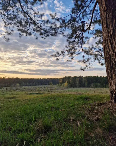 земля Киевское шоссе, 3 км, КП Бора-Боровск форестлейк фото