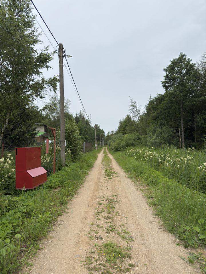 земля городской округ Талдомский г Талдом снт Верба 182 фото 9