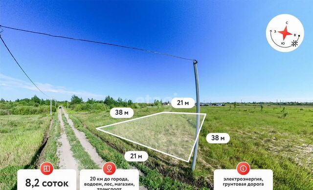 Каскара фото