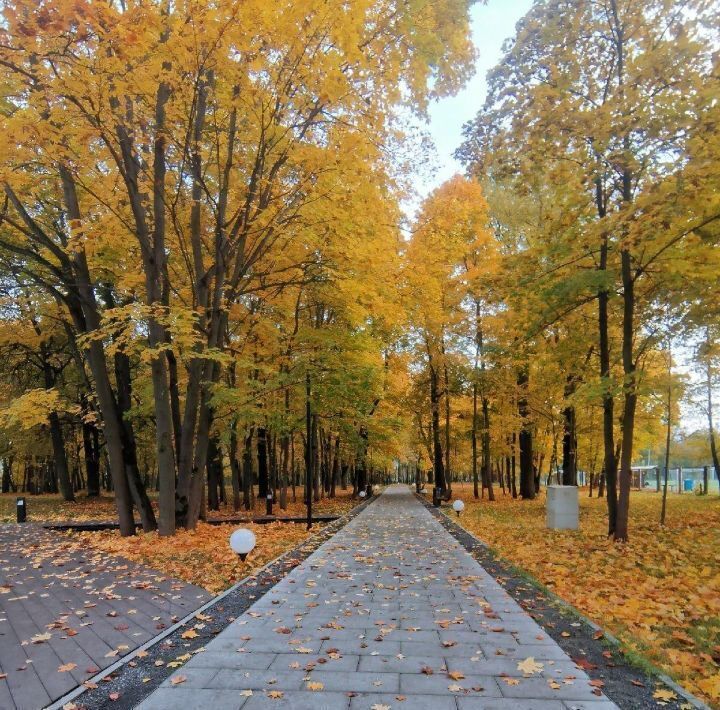 квартира г Лосино-Петровский ул 7-го Ноября 5 фото 14