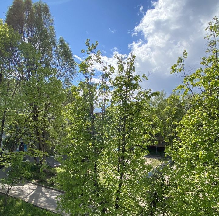 квартира г Брянск р-н Бежицкий ул Ново-Советская 89 фото 12