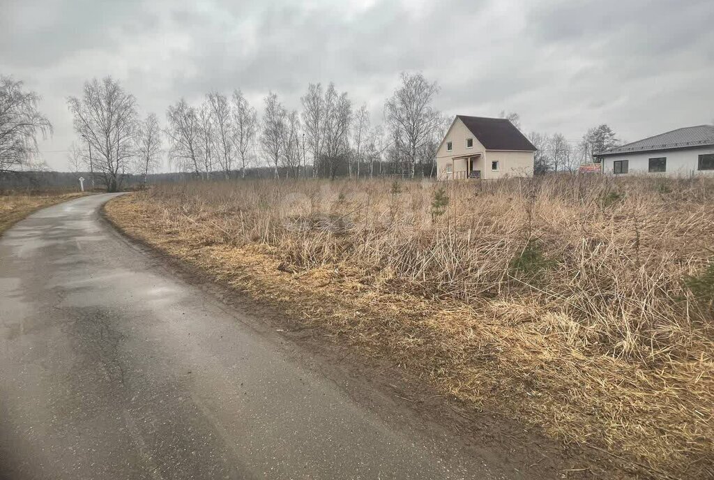 земля г Домодедово д Тургенево 70Б, Силикатная фото 3