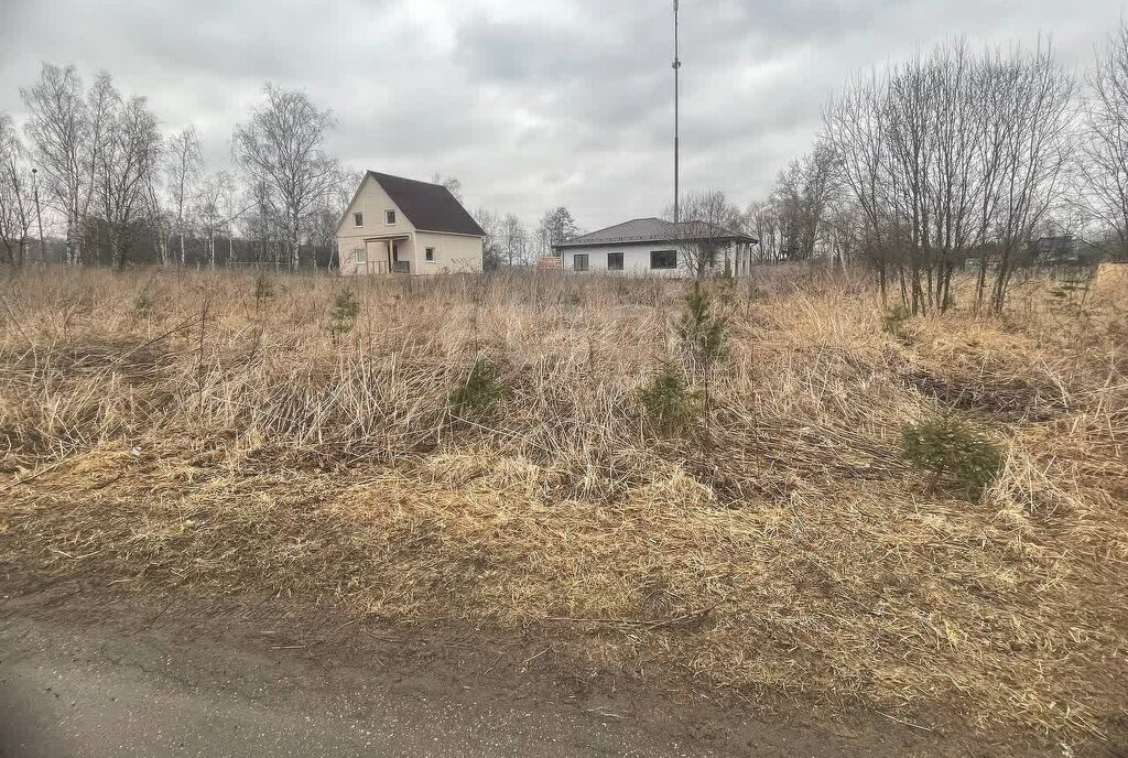 земля г Домодедово д Тургенево 70Б, Силикатная фото 4
