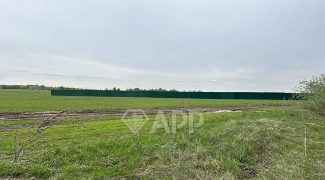 офис Дубравная тракт Вознесенский фото