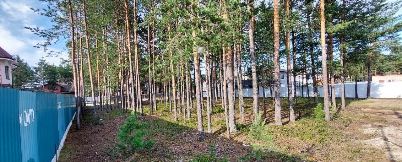 земля г Сургут тер ДНТ Тихий бор Тюменская обл. фото 1