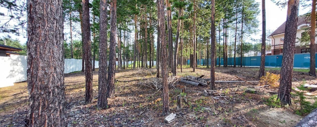 земля г Сургут тер ДНТ Тихий бор Тюменская обл. фото 4