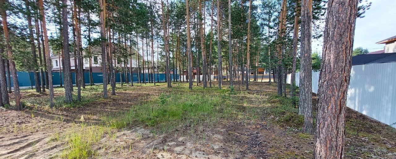 земля г Сургут тер ДНТ Тихий бор Тюменская обл. фото 2