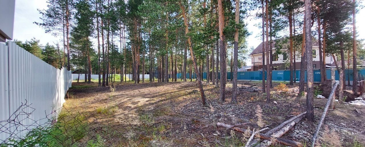 земля г Сургут тер ДНТ Тихий бор Тюменская обл. фото 3