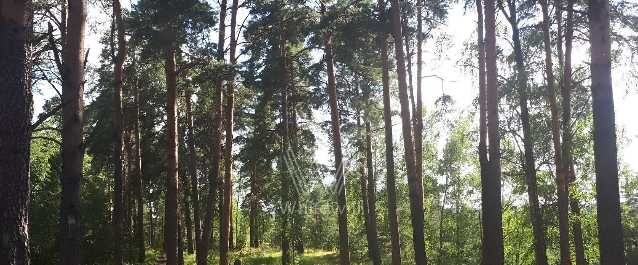 земля г Истра Лесные Зори кп, Нахабино фото 5