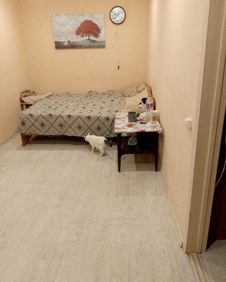комната г Кыштым ул Челюскинцев 55а фото 9