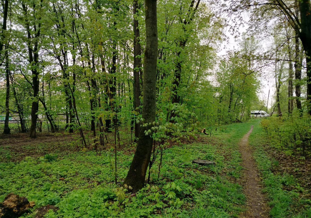 квартира г Королев мкр Первомайский аллея, 29, Железнодорожная фото 27