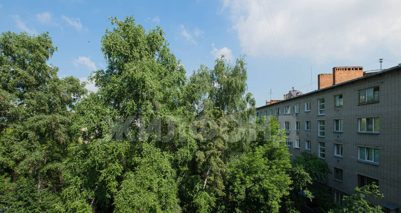 квартира г Новосибирск Гагаринская Линейный ул Линейная 41 м-н фото 13