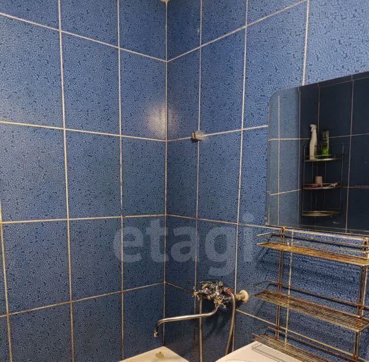 квартира г Нижний Тагил р-н Тагилстроевский Садовая ул., 87 фото 13