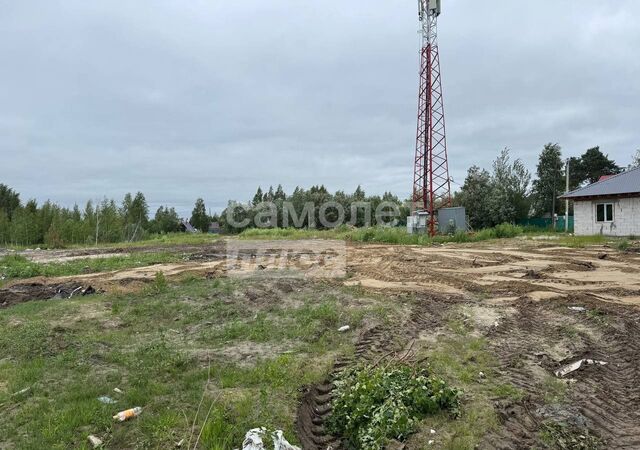 земля ул Строителей СТ Прибрежный-1, Тюменская обл. фото