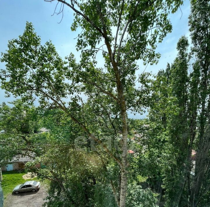 квартира г Балашов ул Астраханская 87 фото 21