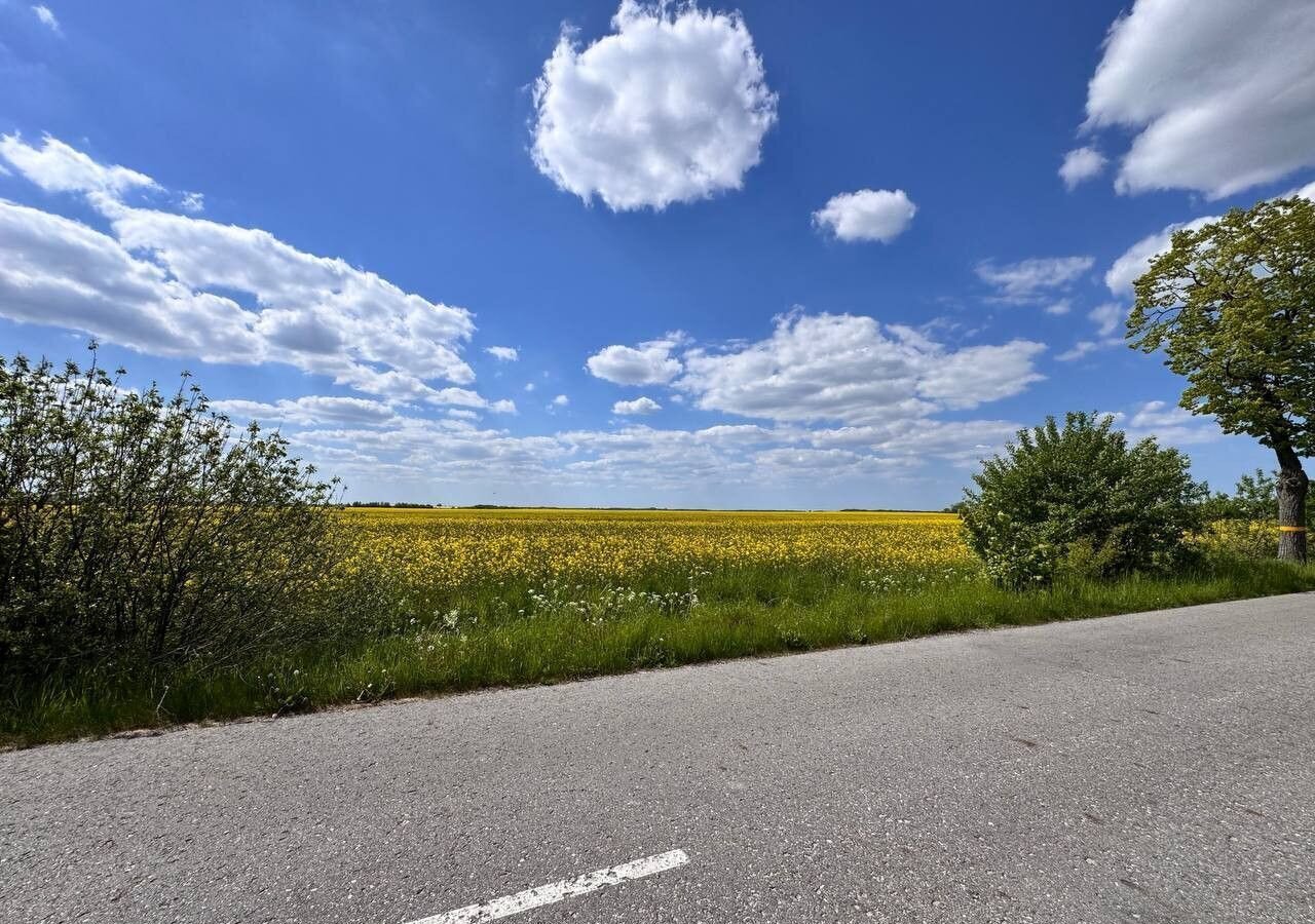 земля р-н Гурьевский г Гурьевск фото 7