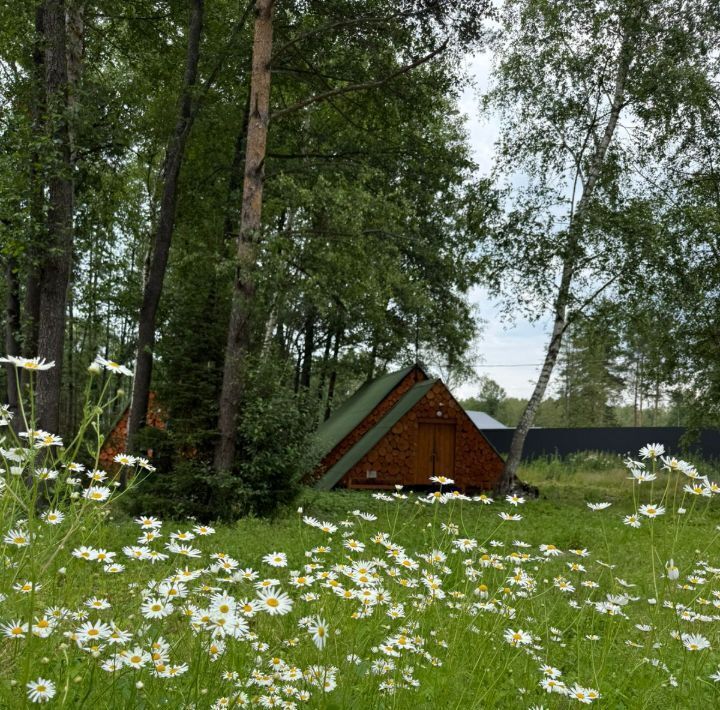 земля г Щёлково снт Южный зона, Удельная, Богородский городской округ фото 4