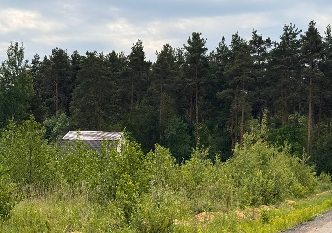 земля городской округ Богородский г Электроугли 22 км, Носовихинское шоссе фото 6