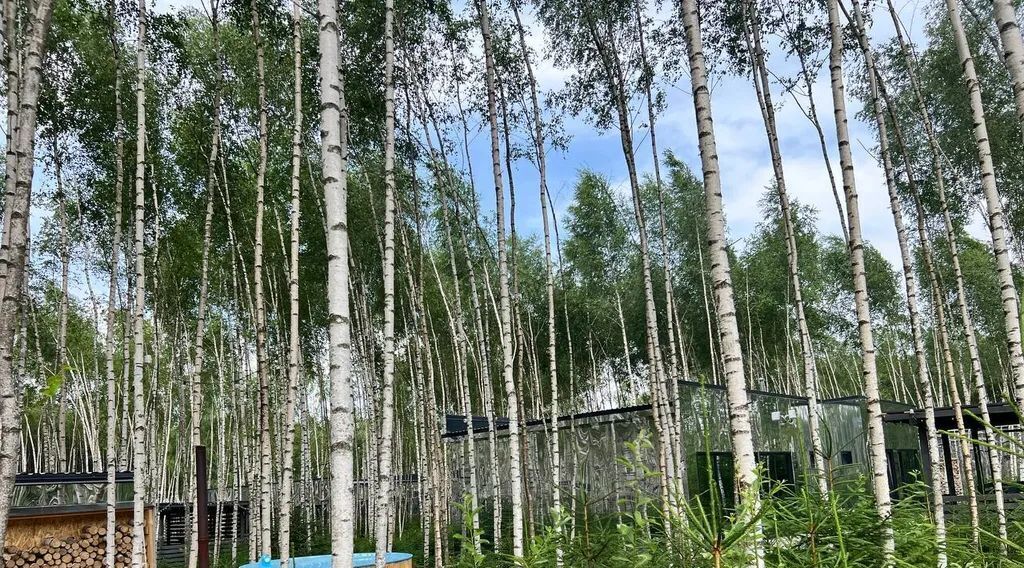 дом г Ступино ул Березовая 14 Шелково Форест кп фото 15