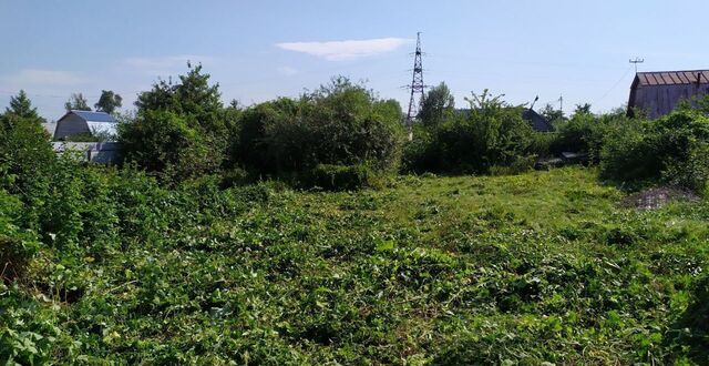 садоводческое товарищество Строитель фото