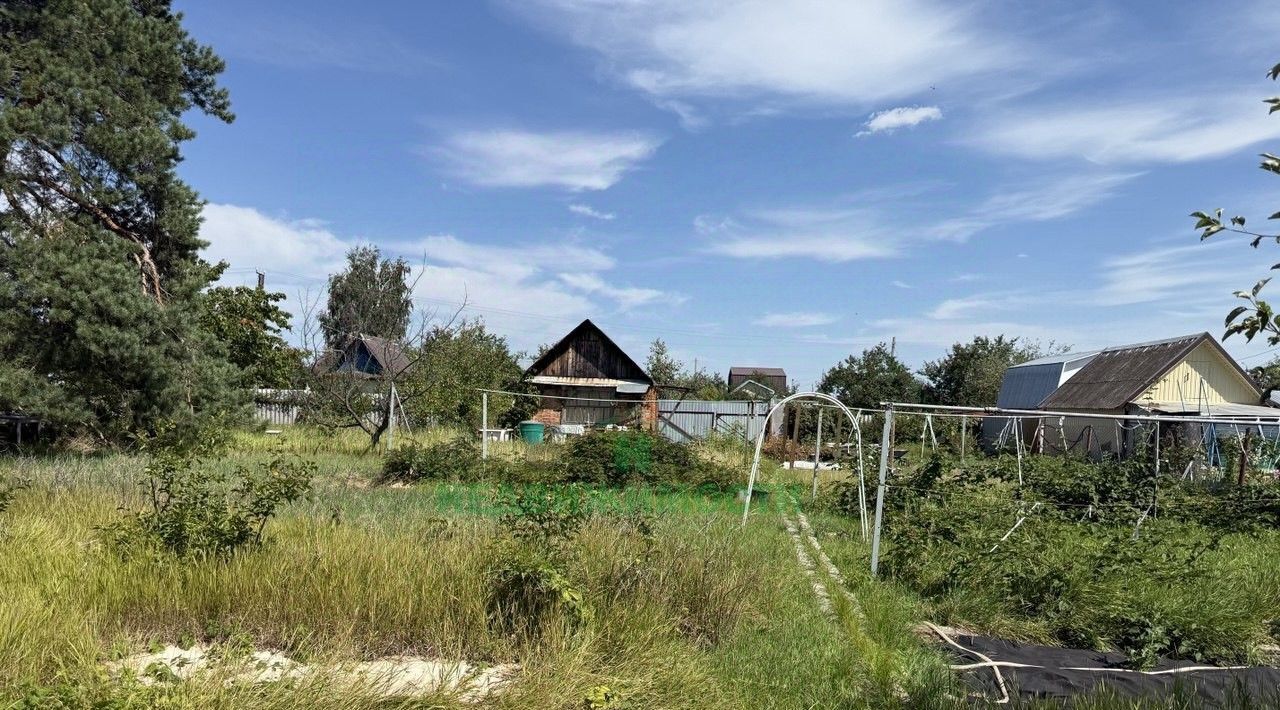 дом г Балаково Приканальное СТ, ул. Заканальная фото 12